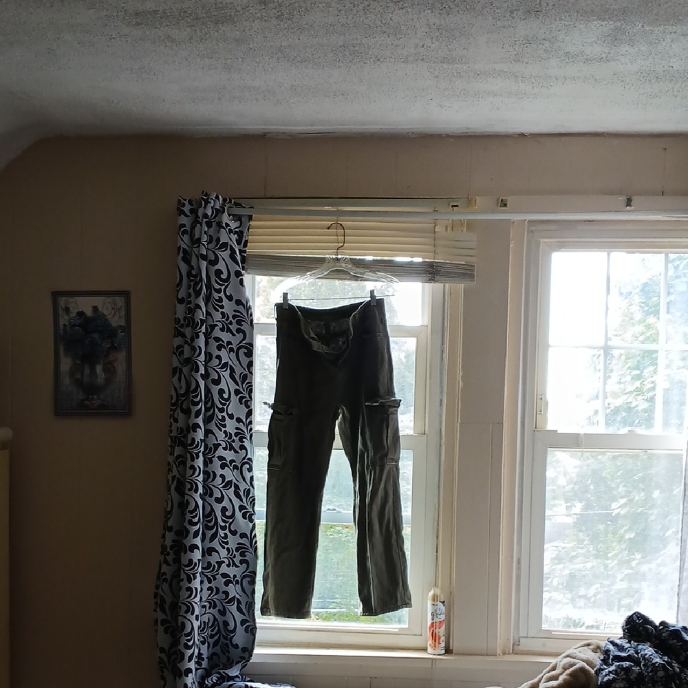 SHEIN Teen Olive Green Pants